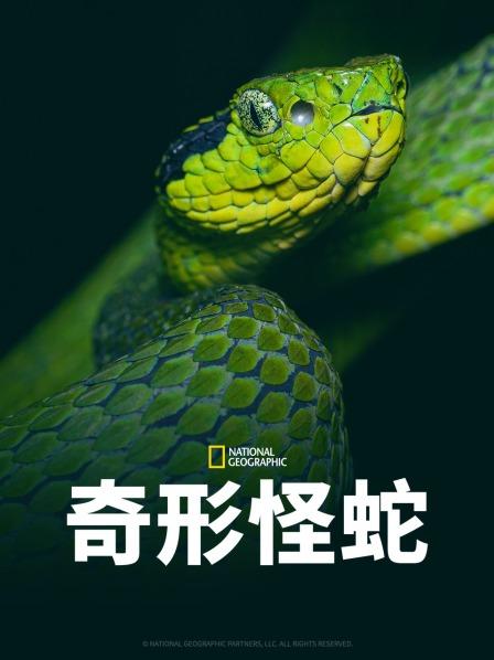 猫咪app官网《奇形怪蛇》免费在线观看